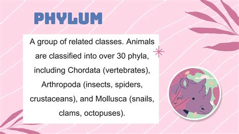 Animal Kingdom - phylum, class, order, etc | PPTX