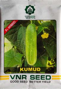 MURUGAN ALAGU MURUGAN ALAGU Seed Price in India - Buy MURUGAN ALAGU ...