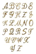 Buy Men Gold Lapel Pin Online - 39620717 | Van Heusen