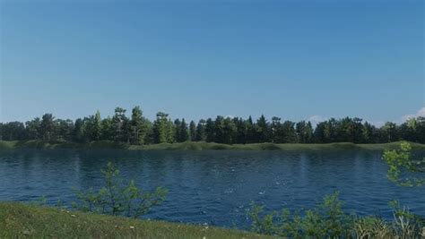 Image result for Nature Motion Graphics