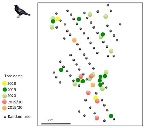 Influence of Habitat and Food Resource Availability on Common Raven ...