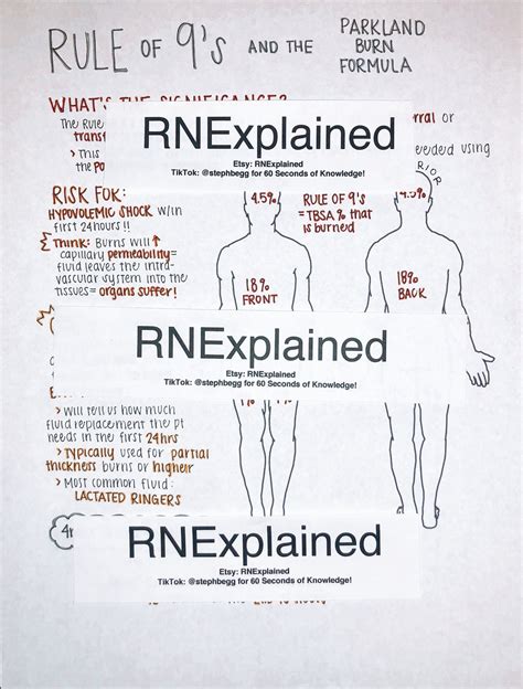Burn Rule Of Nines Worksheet