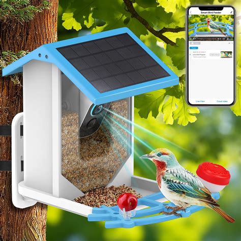 Amazon.com: Holldoor Smart Bird Feeder with Camera Wireless Outdoor ...