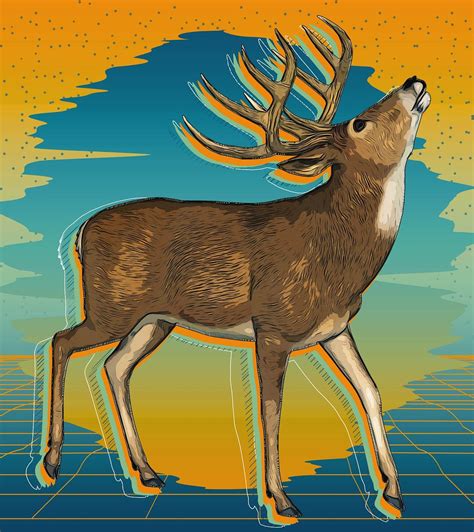 1,000+ Free Buck & Deer Images - Pixabay