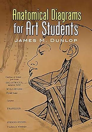 Anatomical Diagrams for Art Students (Dover Art Instruction) eBook ...
