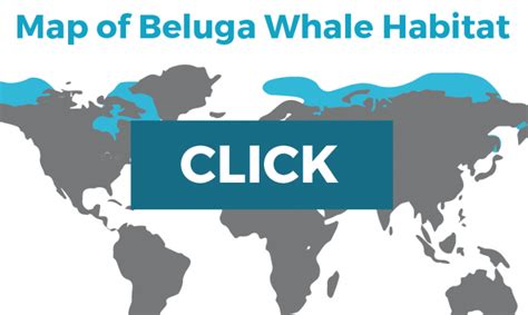 Image result for Examples of Companies That Use Python