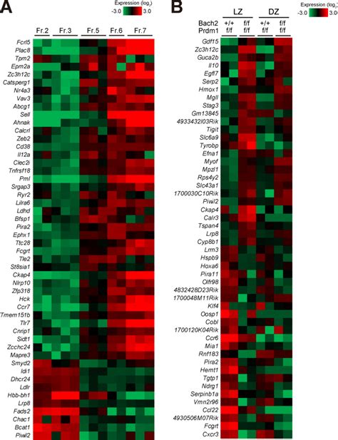 Image result for Python Heatmap RNA-Seq