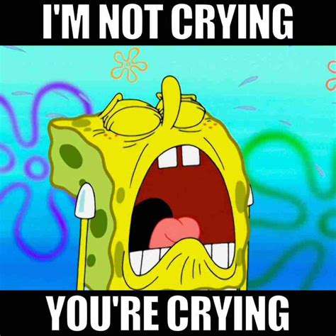 33 Crying Memes For The Crazy Rollercoaster We Call Life