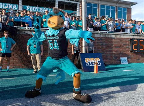 Hey Coastal Carolina University, what's a Chanticleer? - Outsports