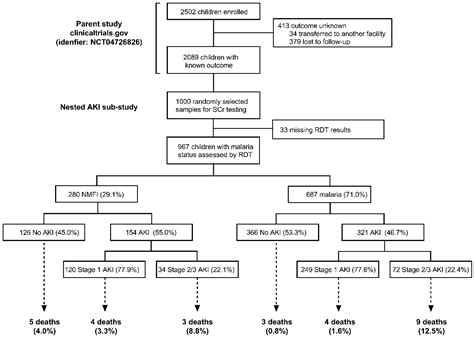 Pathophysiology of Acute Kidney Injury in Malaria and Non-Malarial ...