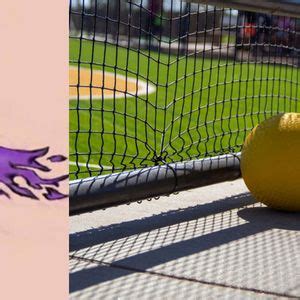 3rd Annual Kicking Lupus to the Curb Kickball Tournament, 600 W. Ross ...