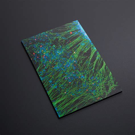 Neural Network Puzzle // Green - Nervous System - Touch of Modern