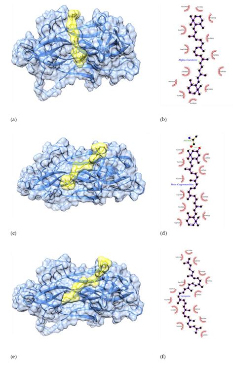 Dietary Intake of Flavonoids and Carotenoids Is Associated with Anti ...