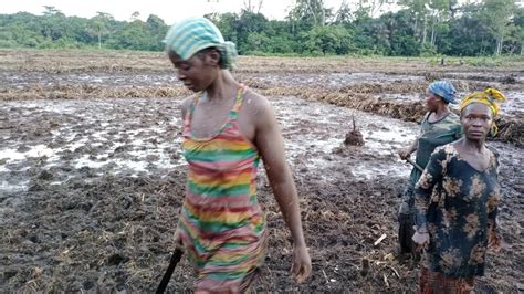 Double down Liberia’s farmers in dire need of just adaptation and mitigation to climate change ...