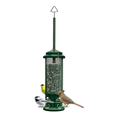10 Best Squirrel Proof Chickadee Bird Feeders for Your Garden ...
