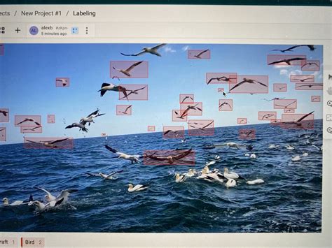 Image result for Label Studio Bill Annotation