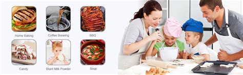 FEDUS Pack of 2 Professional Digital Sensor LCD Cooking Monitoring ...