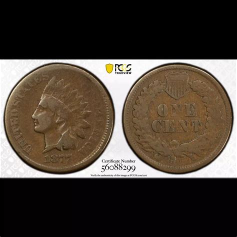 1877 Indian Head Cent PCGS VG-8 BN - Old Pueblo Coin