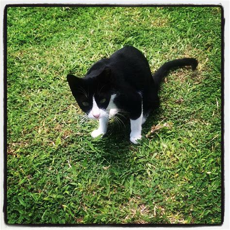 COCONUT BEACH VILLA LANGKAWI (Padang Mat Sirat) - Lodge Reviews, Photos ...