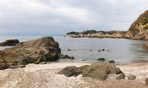 Yokosuka Tourism (2024): Best of Yokosuka, Japan - Tripadvisor