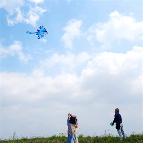 Buy Flying Hoofer Flying Fish Kite for Kids and Adults, Large Delta ...