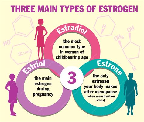 Tres tipos principales de estrógeno infografía estradiol estrona y estriol niveles de hormonas ...