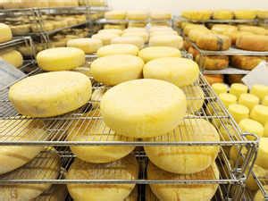 Parag Milk Foods to launch Germany's 'Almette' cheese in India - The ...