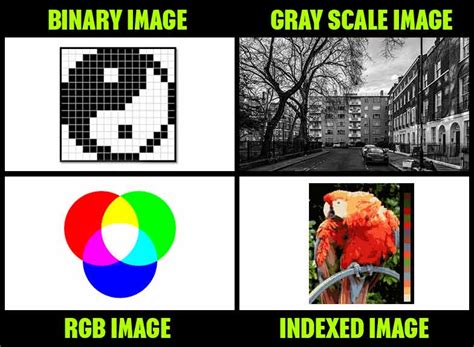 Image Processing - Major Types, Tools And Applications