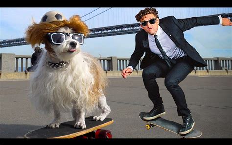 AFV Zoo Animals 的图像结果