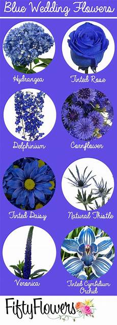 Names Of Blue Flowers For Weddings by Find Your Quot Something Blue Quot At Fiftyflowers Blue Names Of Blue Flowers For Weddings