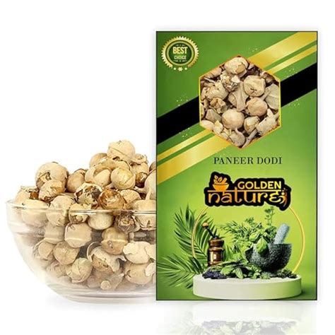 Buy GOLDEN NATURE Paneer Dodi - Paneer phool | Paneer Dodi | Indian ...