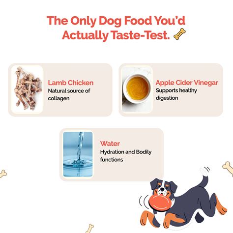 Goofy Tails Lamb Bone Broth for Dogs and Puppies – GoofyTails
