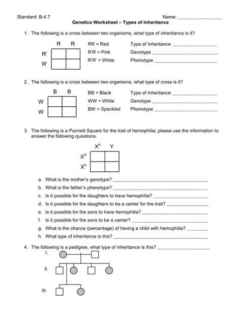 Genetics and Inheritance Worksheet 的图像结果