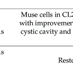 Using Muse Depository 的图像结果