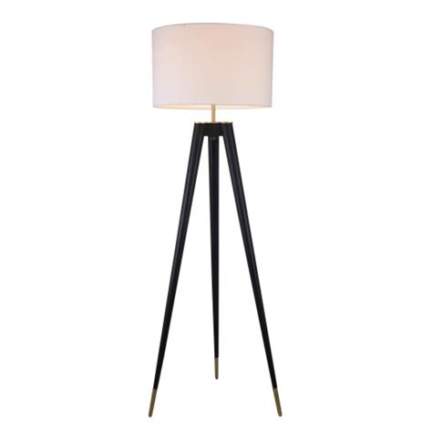 Black & Brass Floor Lamp | Casalife | Toronto, Kitchener