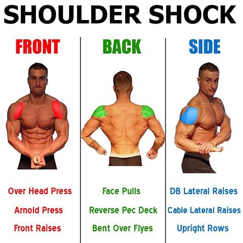 Front Lateral Raises Muscles Worked
