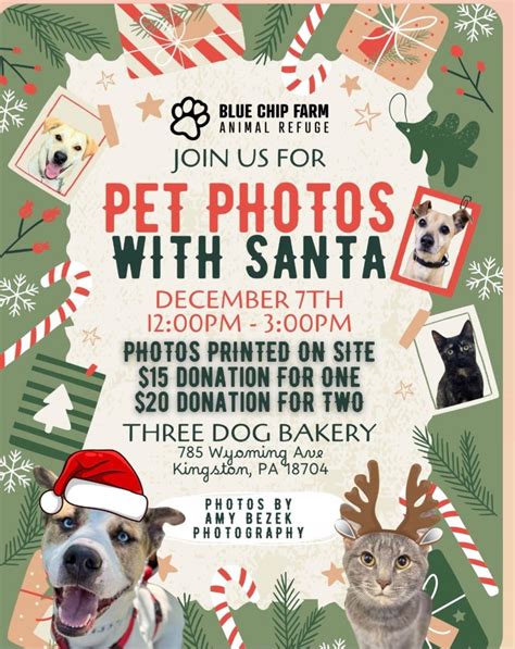 Pictures with Santa Paws benefiting Blue Chip Farms at Three Dog Bakery ...