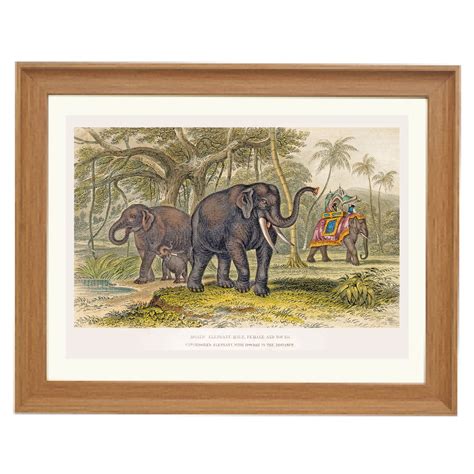 The Majestic Herd | Elephant Art Print | Ikka Dukka – Ikka Dukka Studio ...