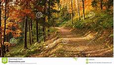 co dei fiori varese autumn in the park of co dei fiori varese stock photo co dei fiori varese autumn in the park of co dei fiori varese stock photo