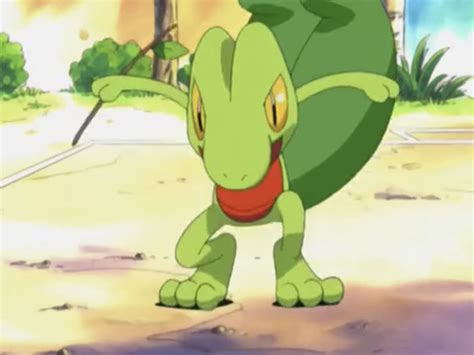 Image result for Pokemon Treecko Evolution Level