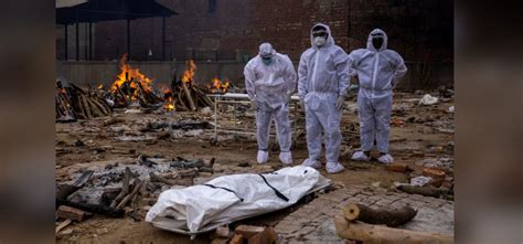 The Wire: The Wire News India, Latest News,News from India, Politics ...