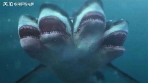 夺命六头鲨精彩看点_一分钟看完后夺命六头鲨电影【七猫影视】
