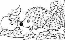 igel malvorlagen kostenlos igel malvorlagen malvorlagen1001 de igel malvorlagen kostenlos igel malvorlagen malvorlagen1001 de