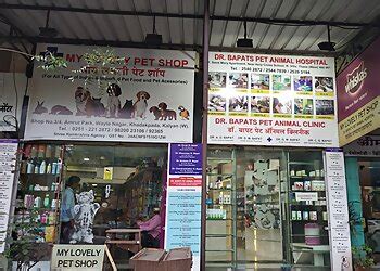 3 Best Veterinary Hospitals in Kalyan Dombivli, MH - Expert Recommendations