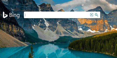 微软bing 的图像结果