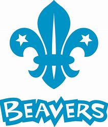 Image result for beavers scouts