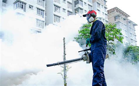 Our Services | Serene Communities