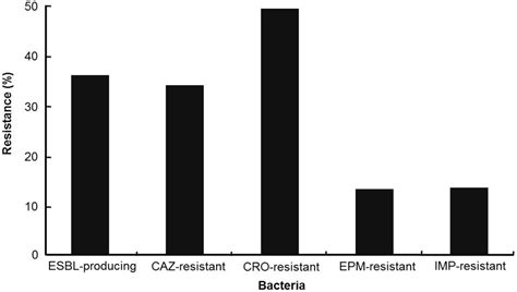 Strategies to Minimize Antibiotic Resistance