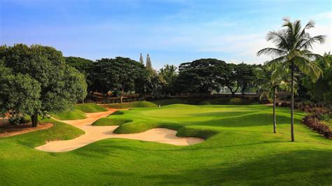 AV Golf Design | Top Golf Course Design & Development Company in India