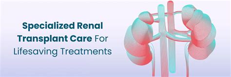 Top Renal Transplant Care and Treatments in Nashik